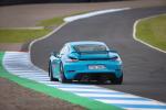 Porsche 718 Cayman GT4 2019 года (WW)